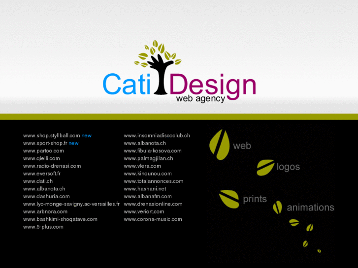 www.catidesign.com