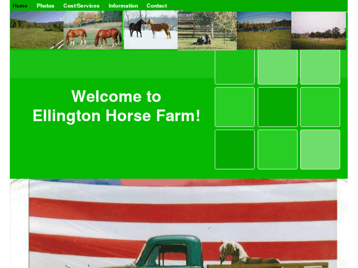 www.ellingtonhorsefarm.com