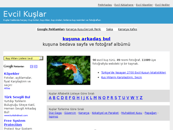 www.evcilkuslar.com