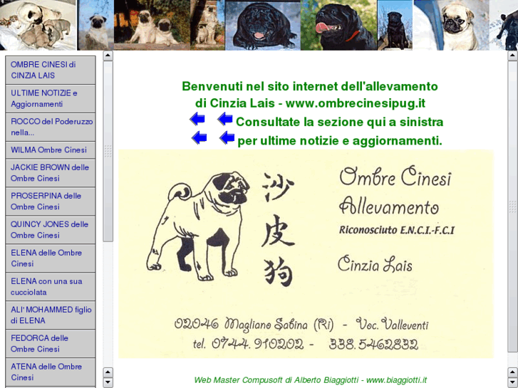 www.ombrecinesipug.it