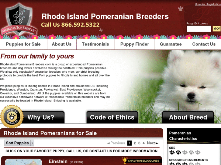 www.rhodeislandpomeranianbreeders.com