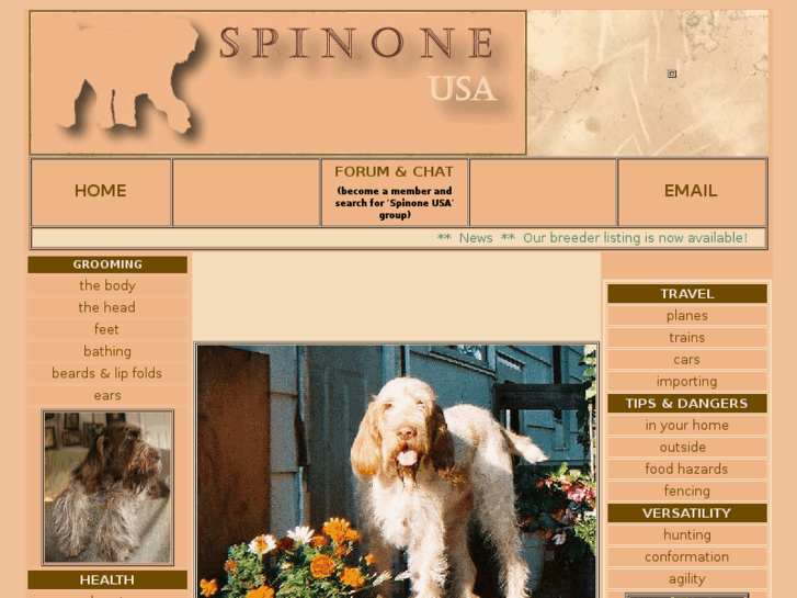 www.spinoneusa.com