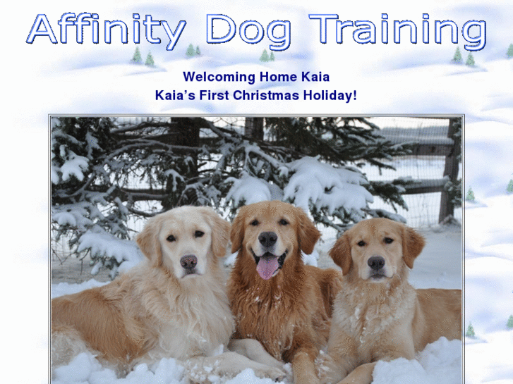 www.affinitydogtraining.com