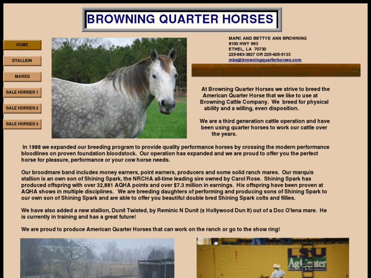 www.browningquarterhorses.com