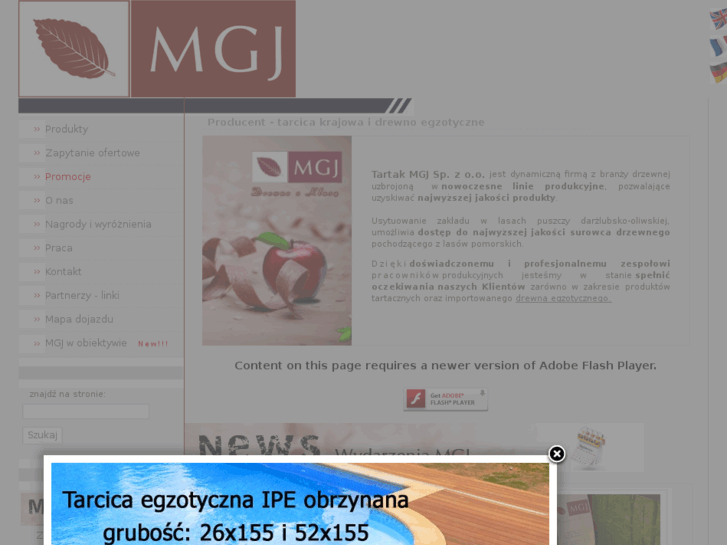 www.mgj.pl