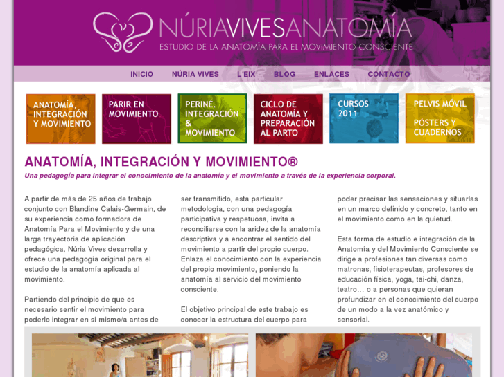 www.nuriavivesanatomia.com