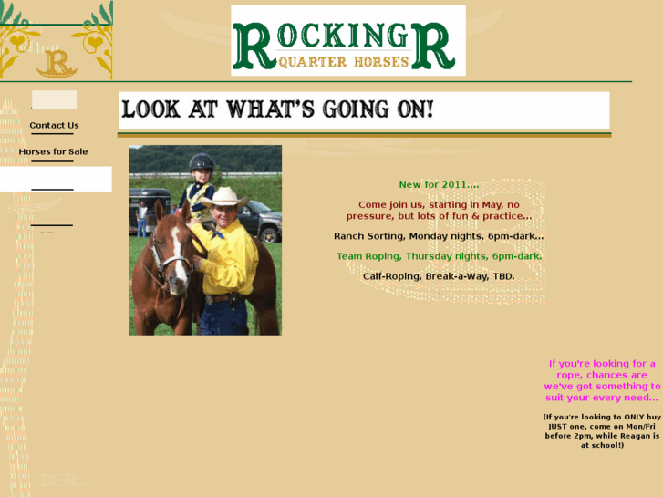 www.rockingrhorses.com