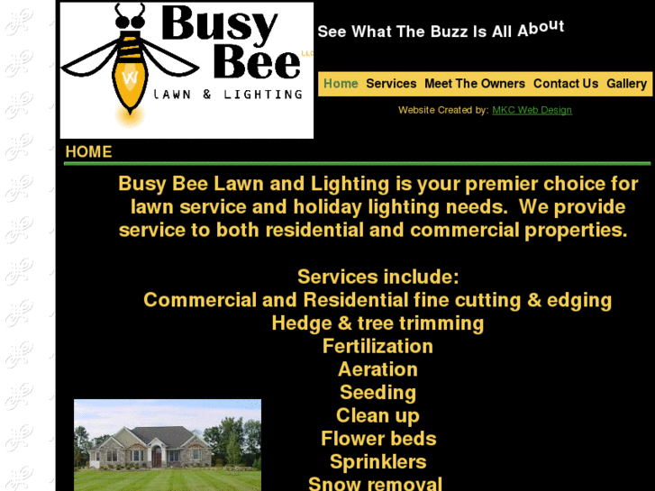 www.busybeelawnandlighting.com