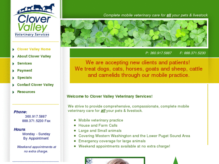 www.clovervalleyvet.com