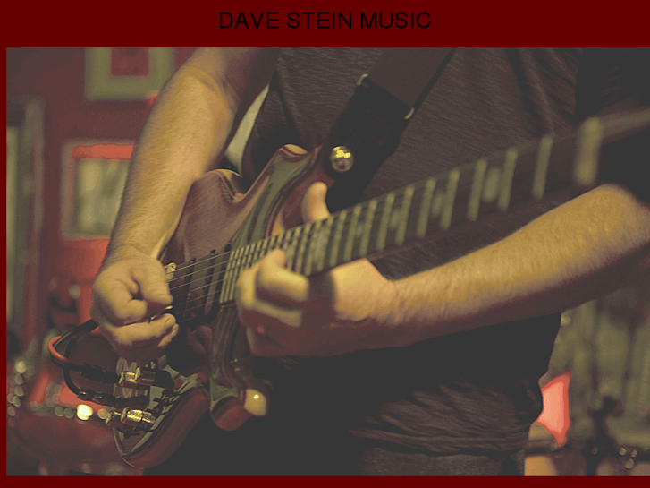 www.davesteinmusic.com