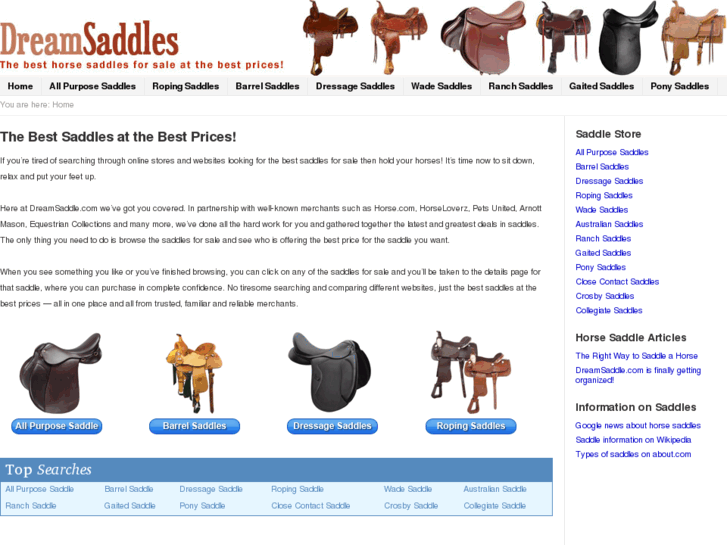 www.dreamsaddle.com