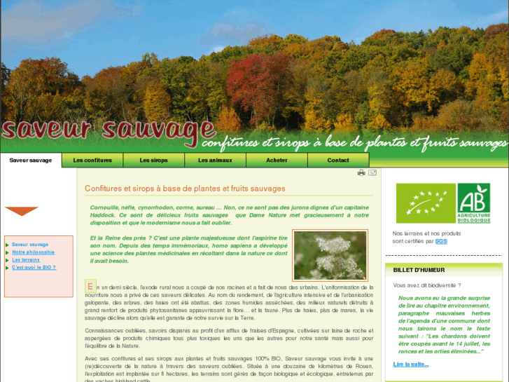 www.saveur-sauvage.fr