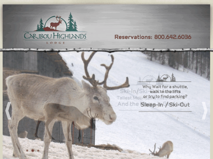 www.skicaribou.com