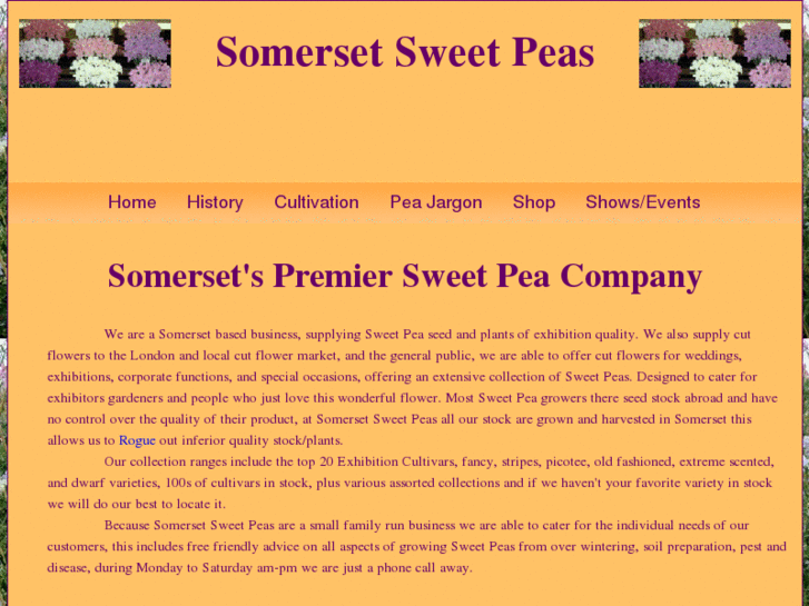 www.somersetsweetpeas.com