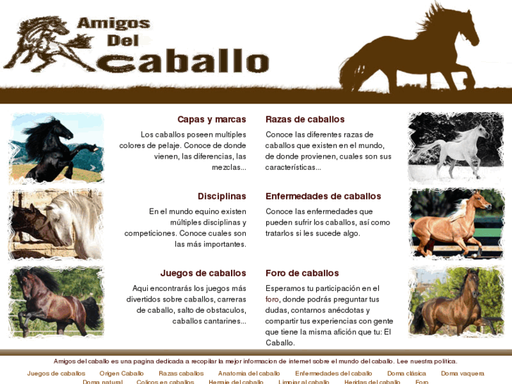 www.3caballos.com