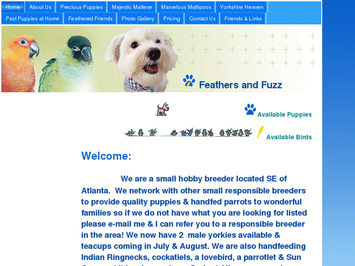 www.feathersandfuzz.com