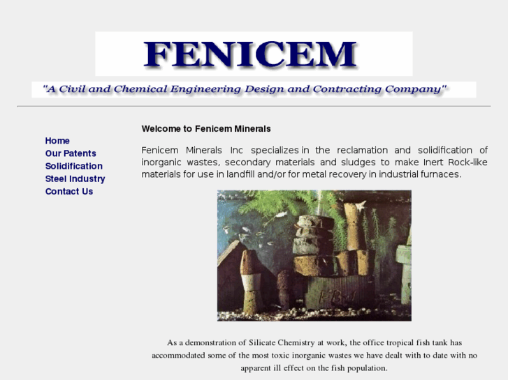 www.fenicem.com