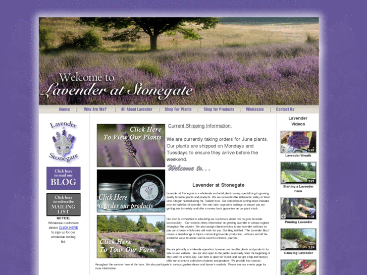 www.lavenderatstonegate.com