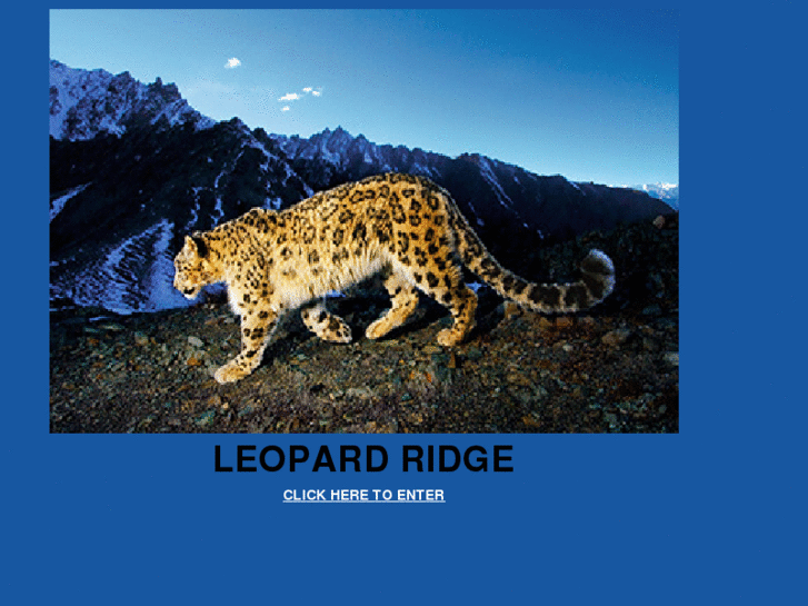 www.leopardridge.info