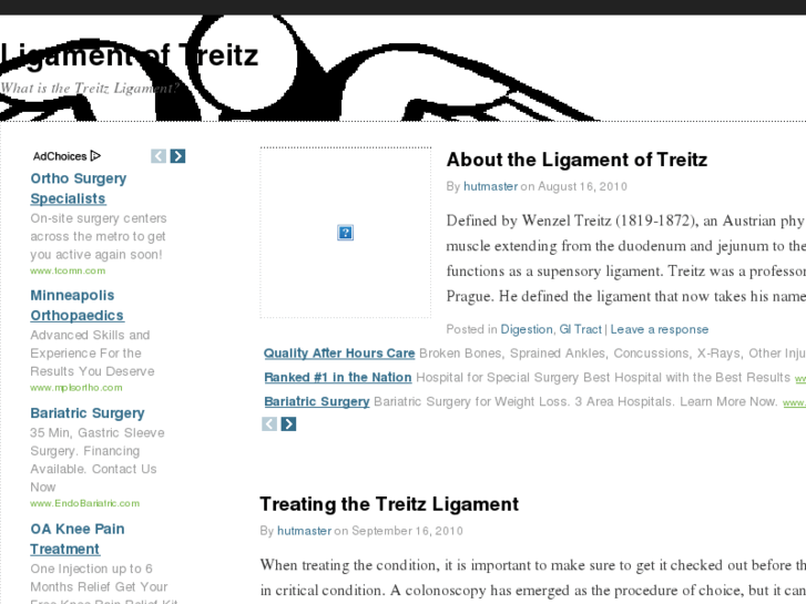 www.ligamentoftreitz.com