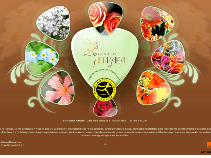 www.floristeriaalthaea.com