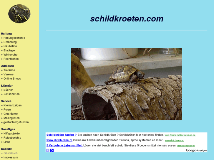 www.schildkroeten.com