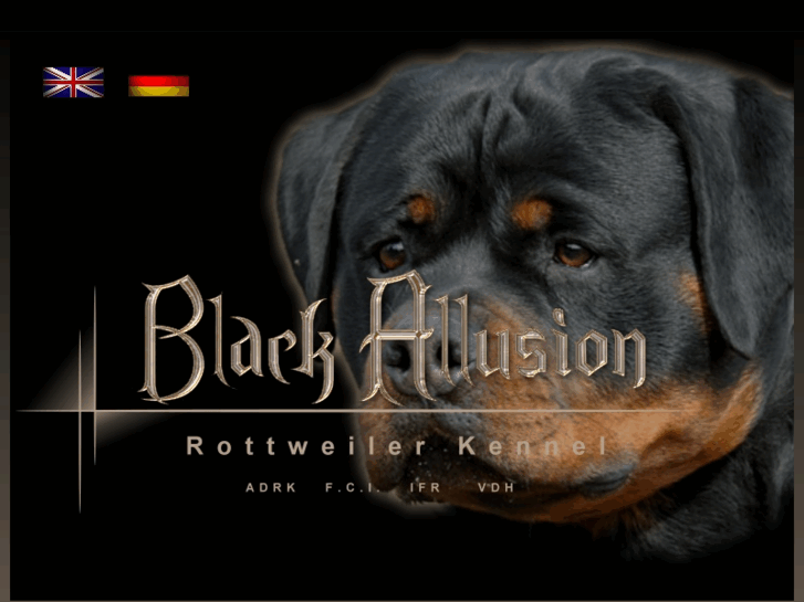 www.blackallusion.com