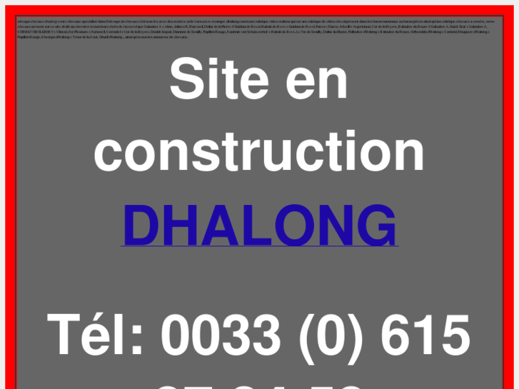 www.dhalong.com