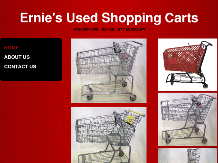 www.erniesusedcarts.com