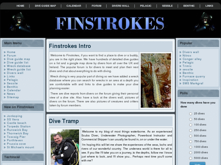 www.finstrokes.com