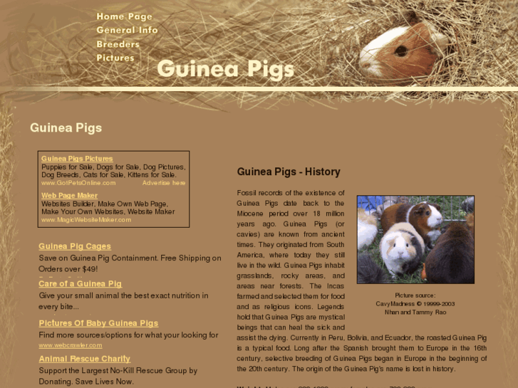 www.guinea-pigs-guinea-pigs.com