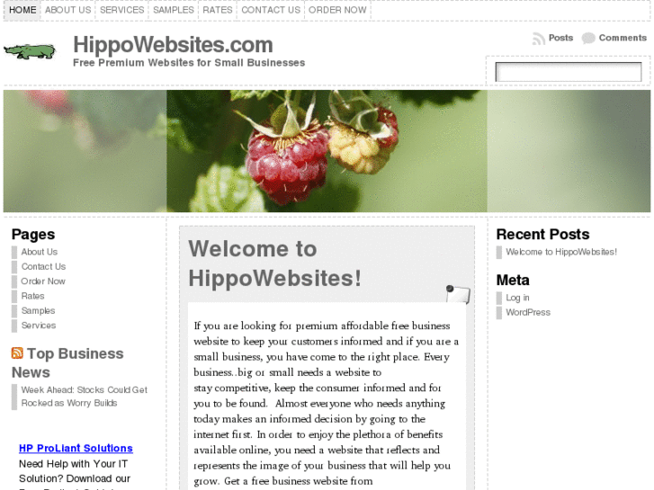 www.hippowebsites.com