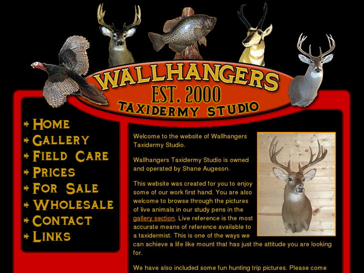 www.wallhangerstaxidermystudio.com