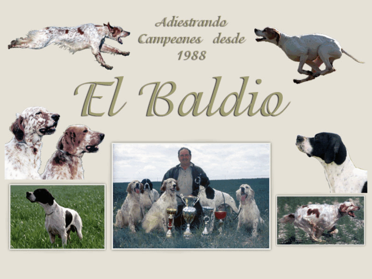 www.elbaldio.es
