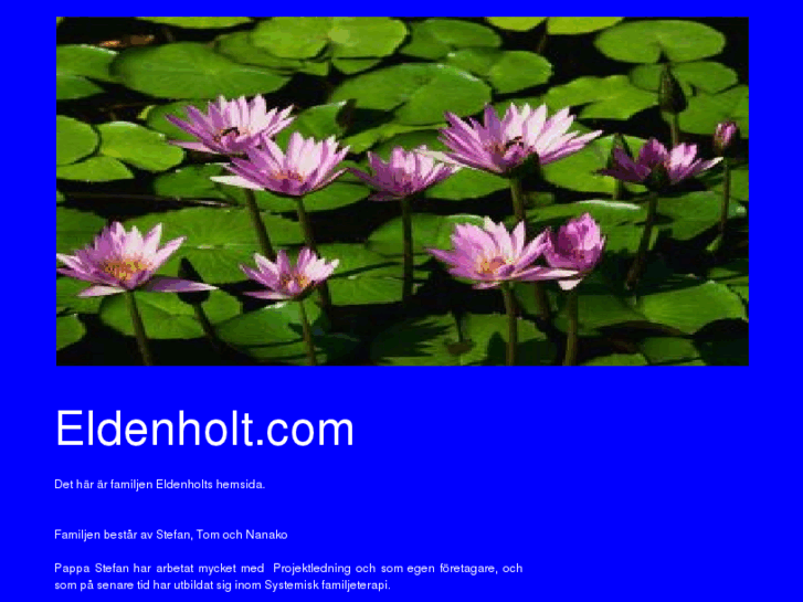 www.eldenholt.com