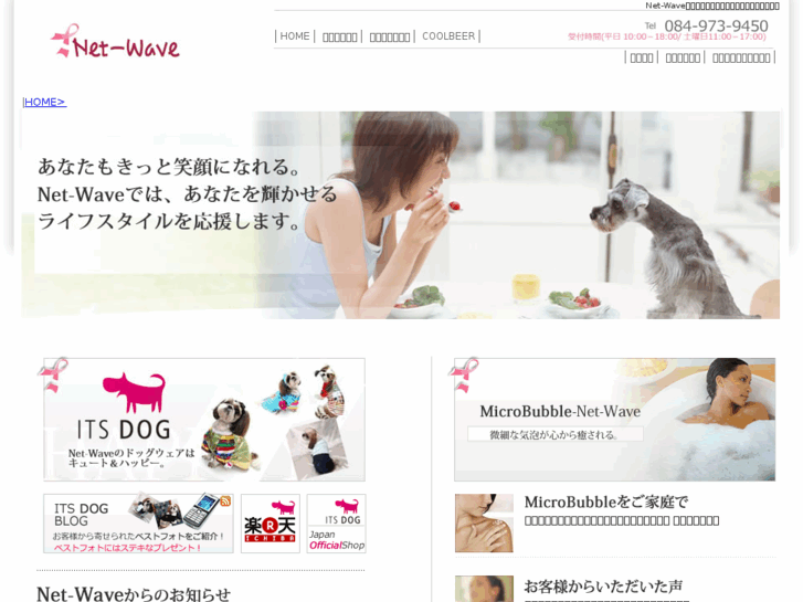 www.net-wave.asia