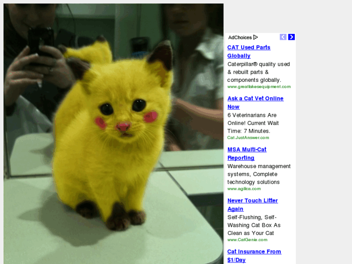 www.pikachucat.com