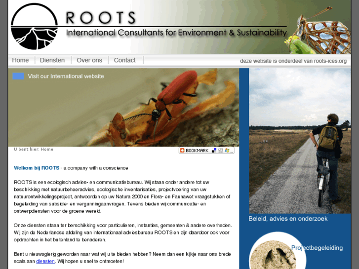 www.roots-ices.nl