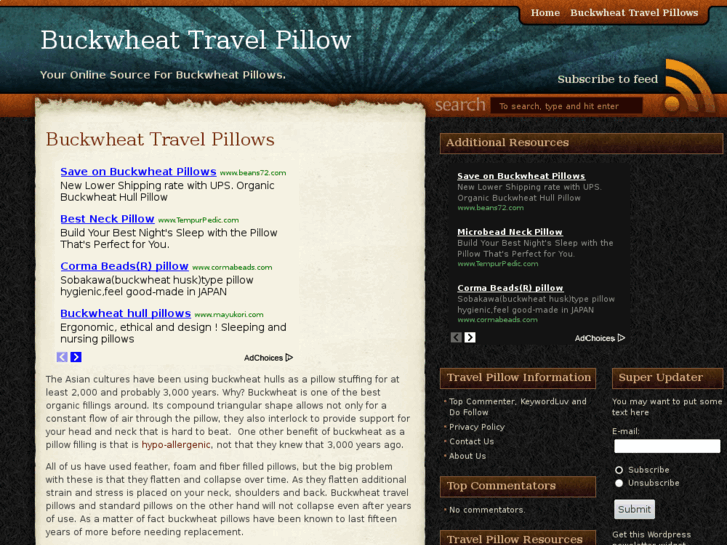 www.buckwheattravelpillow.com