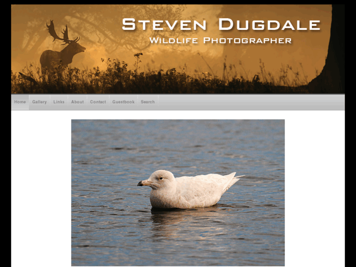 www.dugdalewildlifephotographer.com