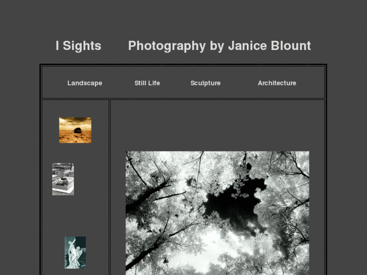 www.janiceblount.com