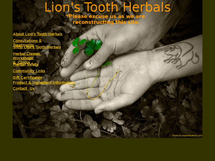 www.lionstoothherbals.com