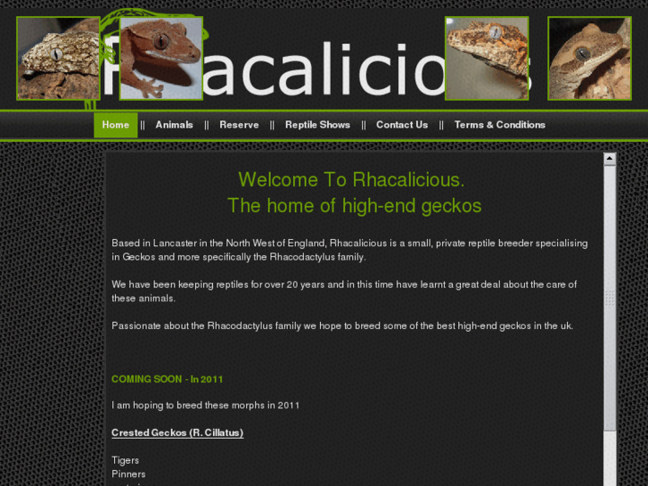 www.rhacalicious.com