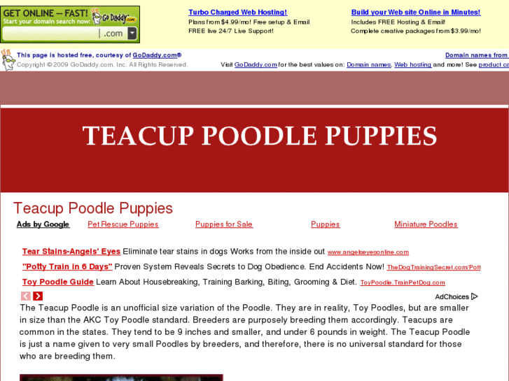 www.teacuppoodlepuppies.com