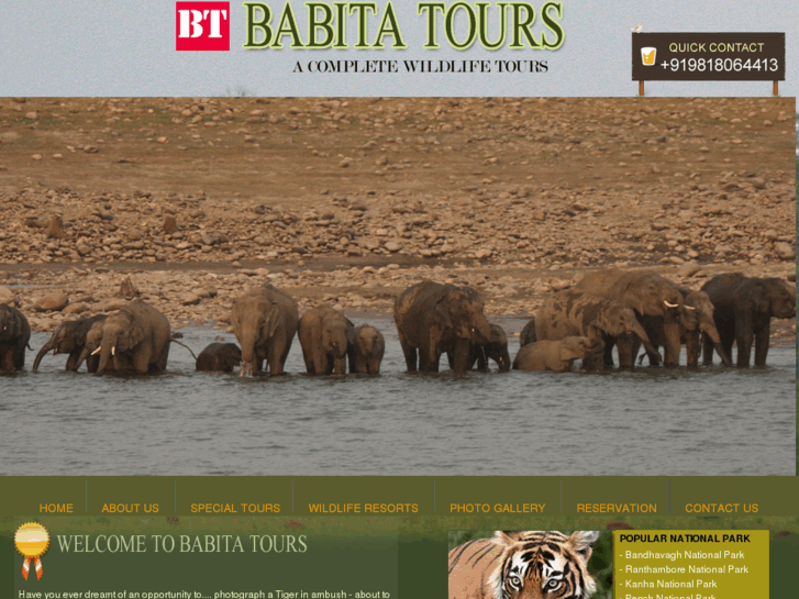 www.babitatours.com