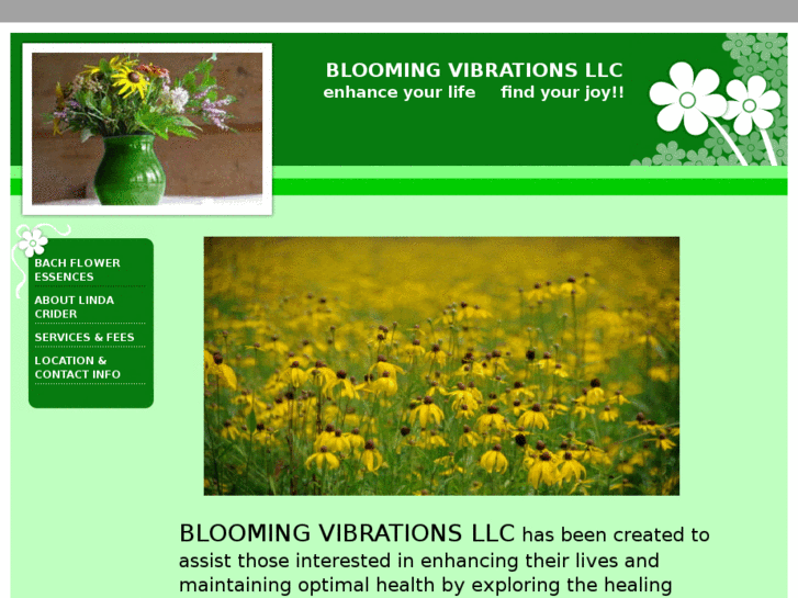 www.bloomingvibrations.com