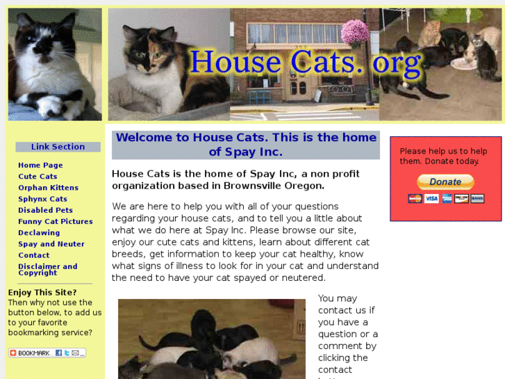 www.house-cats.org