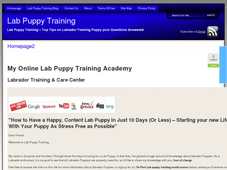 www.labpuppytraining.com