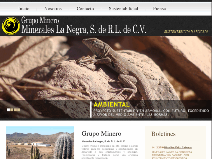 www.mineraleslanegra.org