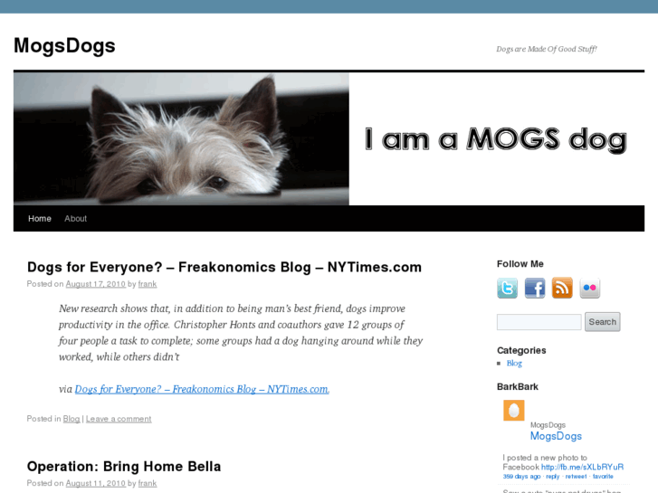 www.mogsdogs.com